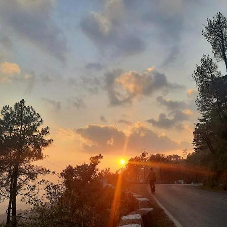 Him Aashrey B&B Homestay Shimla Exteriör bild