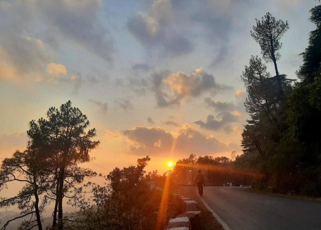 Him Aashrey B&B Homestay Shimla Exteriör bild
